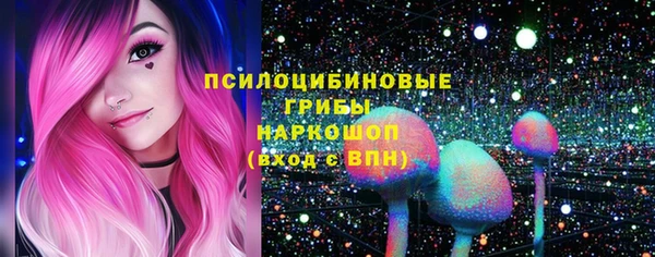 гидропоника Приозерск