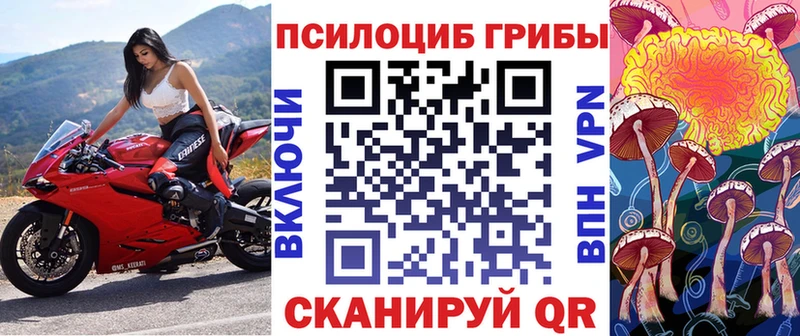Галлюциногенные грибы мицелий  Котельнич 