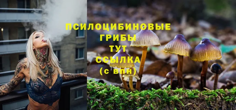 Галлюциногенные грибы Magic Shrooms  продажа наркотиков  Котельнич 