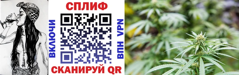 хочу наркоту  shop состав  Марихуана конопля  Котельнич  блэк спрут сайт 